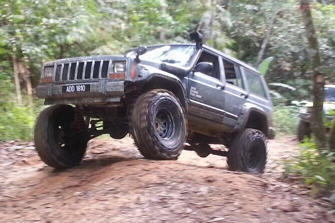 Off-road, Exploration through rainforest Day Tour by 4X4 - Who Should Consider This Tour?