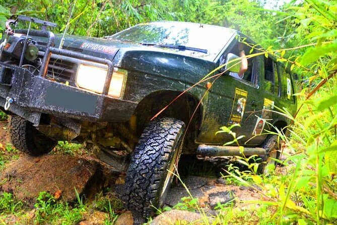 Off-road, Exploration through rainforest Day Tour by 4X4 - Final Thoughts