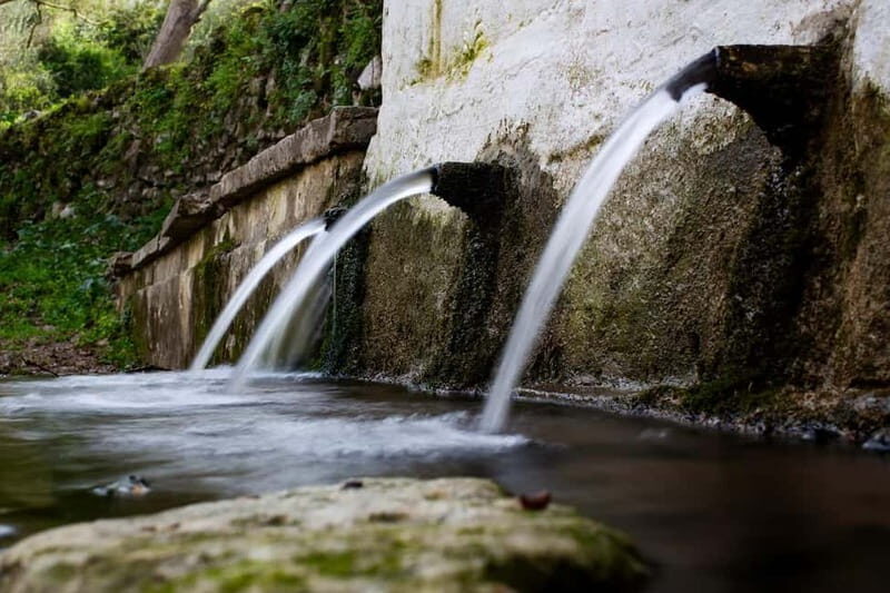 Off-Road: Natural Lake, Mountain Gorges, Palm Forest & Beach - Final Thoughts