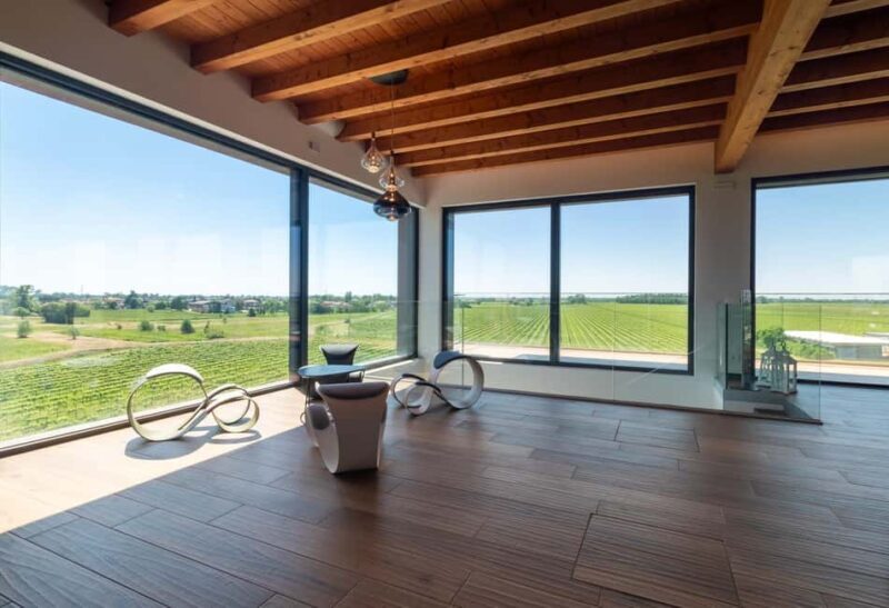 Off-road tour through vineyards and organic wine tasting Villa Bogdano 1880 - Key Points