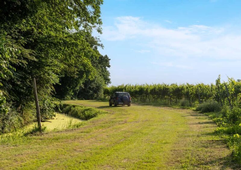 Off-road tour through vineyards and organic wine tasting Villa Bogdano 1880 - Practical Details