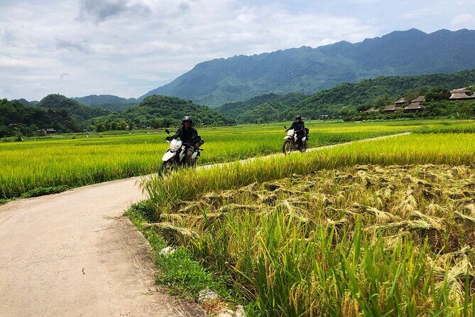 Off Road Trekking Pu Luong Nature Reserve 3 Day Tour From Hanoi - FAQ