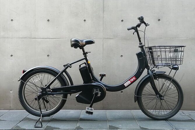 Off the beaten path E-bike tour tokyo with Local guide, 3hrs - The Sum Up