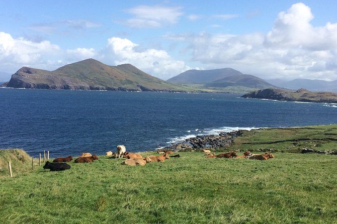 Off the beaten Path Private Tour of Ring of Kerry - FAQ