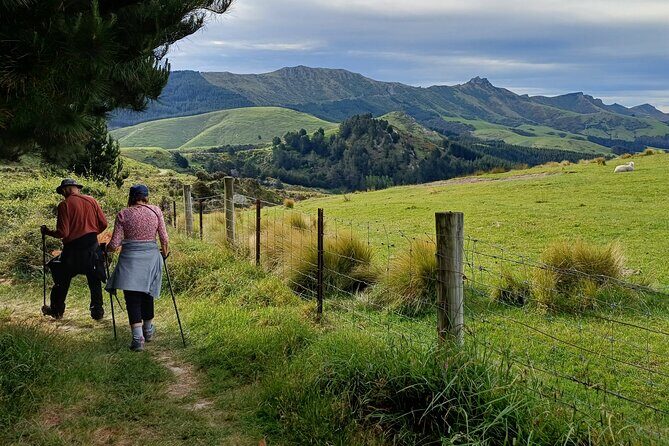 Off The Beaten Track- Packhorse Hut Guided Walk(Small Group Tour) - What to Expect from the Tour