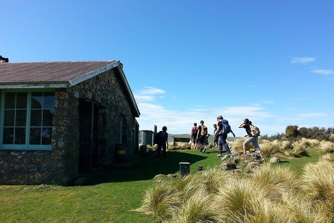 Off The Beaten Track- Packhorse Hut Guided Walk(Small Group Tour) - Final Thoughts