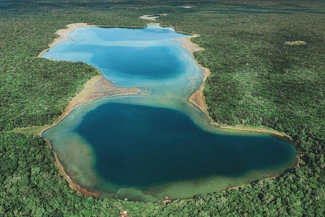 Off The Beaten Track - Private Tour To Coba & Spider Monkeys - Why This Tour Is a Great Choice
