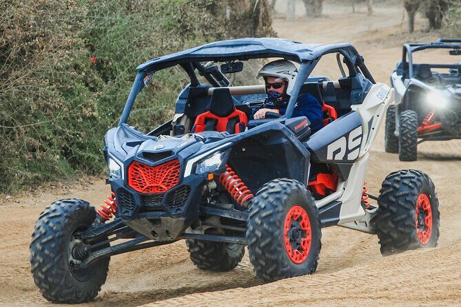 Off to Road Cabo San Lucas Adventure - Practical Details: What Travelers Need to Know