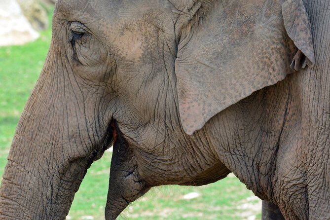 Offer Summer Terra Natura entrance ticket - What is Terra Natura Benidorm?