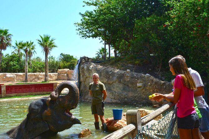 Offer Summer Terra Natura entrance ticket - What to Expect at Terra Natura