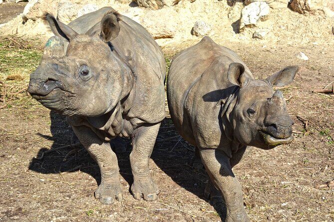 Offer Summer Terra Natura entrance ticket - Authentic Experiences & Genuine Feedback from Visitors