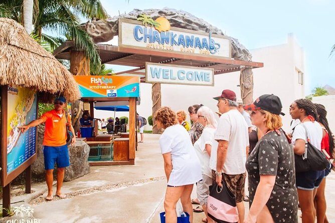 Official Chankanaab Beach Park Day pass with Snorkeling - The Authenticity and Diversity of Experience