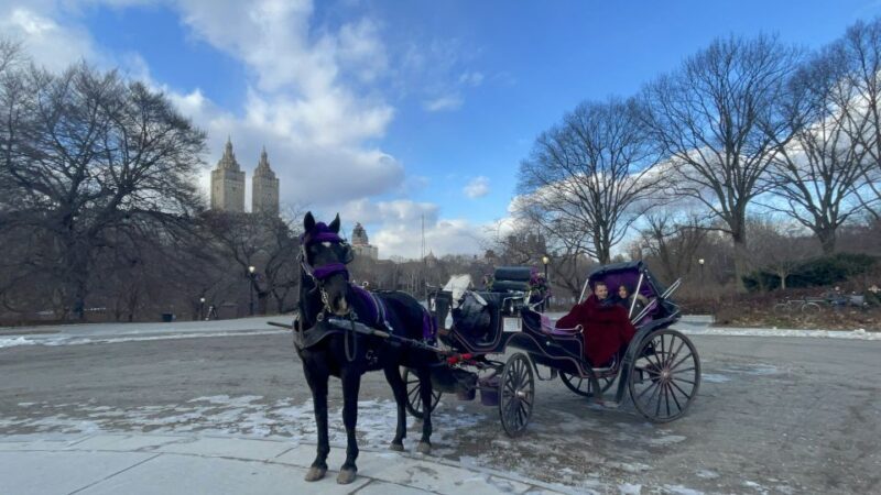 Official Exclusive VIP Horse Carriage Ride in Central Park - Final Thoughts