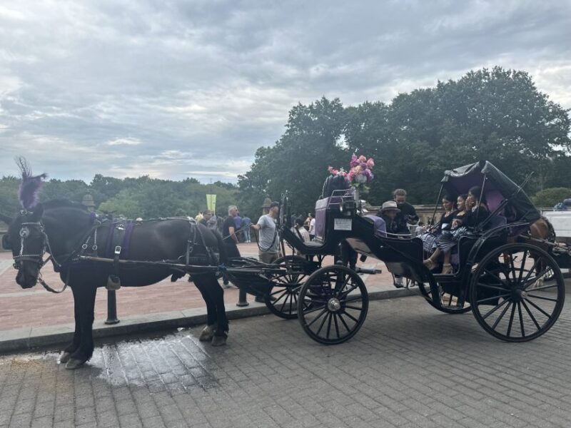 Official Exclusive VIP Horse Carriage Ride in Central Park - FAQ