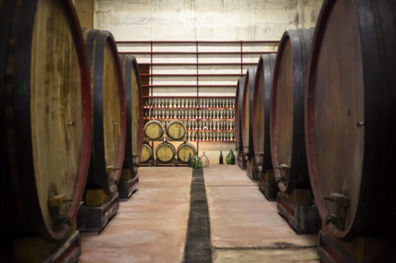 Offida: Tasting itinerary of Rosso Piceno DOC Superiore - Key Points