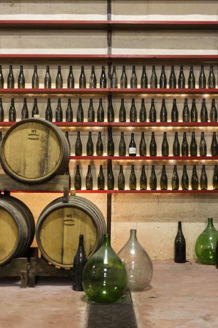 Offida: Tasting itinerary of Rosso Piceno DOC Superiore - The Heart of Offida: Rosso Piceno DOC Superiore