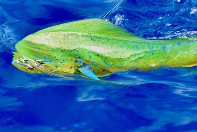 Offshore Sport & Flyfishing - 7 hours - Final Thoughts: Is It Worth It?