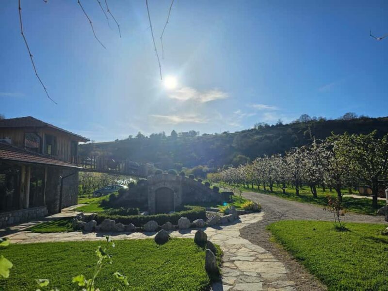 Ohrid: Distillery Balaklija Traditional Rakia Tasting - Key Points