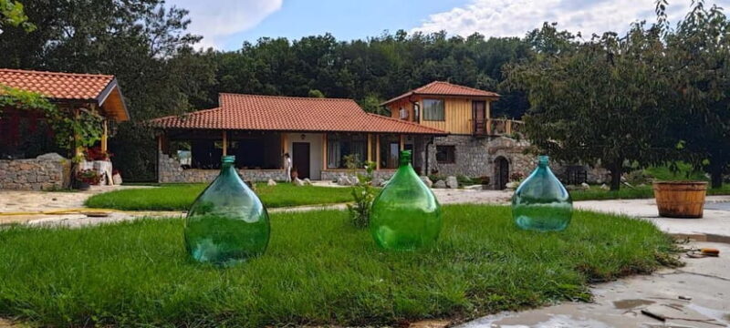 Ohrid: Distillery Balaklija Traditional Rakia Tasting - Value and Overall Impression