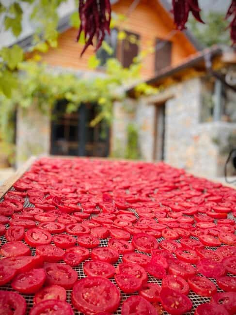 Ohrid: Distillery Balaklija Traditional Rakia Tasting - Final Thoughts