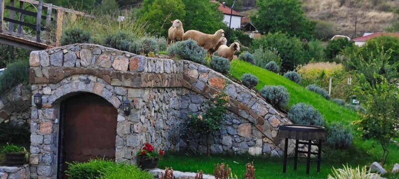 Ohrid: Distillery Balaklija Traditional Rakia Tasting - FAQ