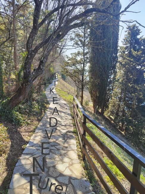 Ohrid: Old Town Bike Rental - Pricing and Value