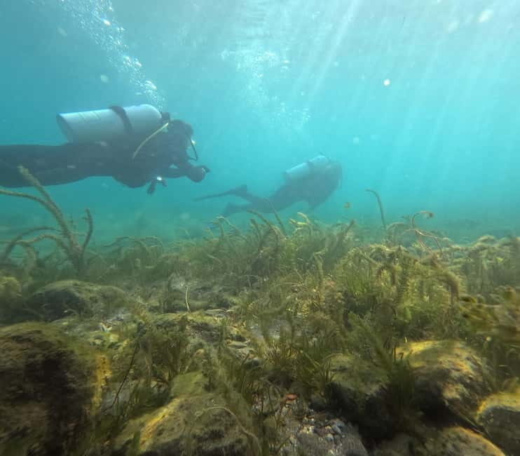 Ohrid: Scuba Diving Experience in Lake Ohrid - Value and Practical Aspects