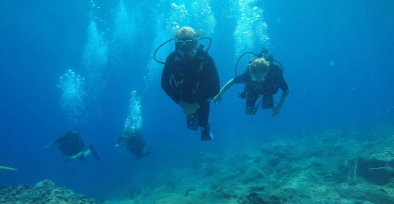 Oia: 2 Guided Scuba Dives off Santorini for Certified Divers - Oia: 2 Guided Scuba Dives off Santorini for Certified Divers — An In-Depth Review