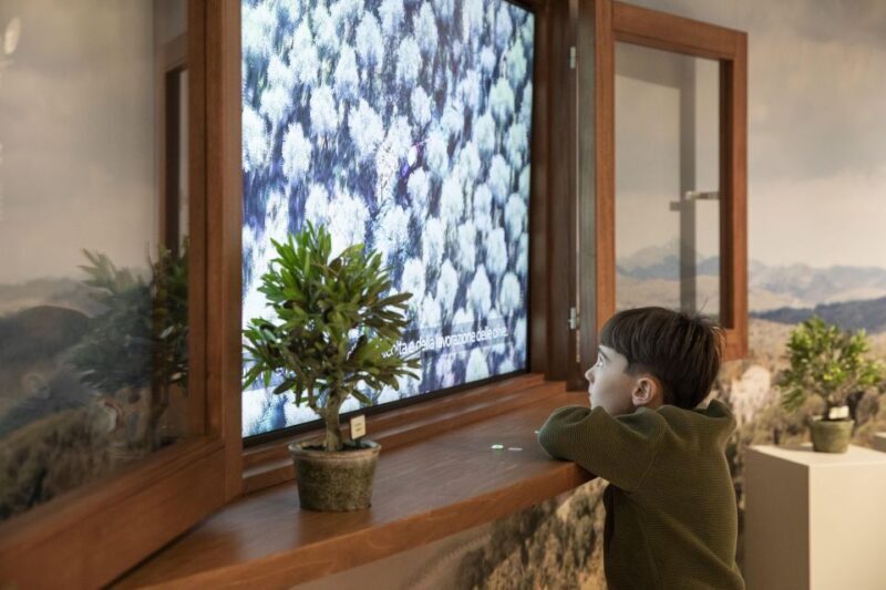 Oil Museum and Mill in Tuscany: interactive tour and tasting - Why This Tour Works