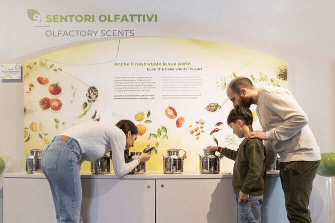 Oil museum and oil mill in Tuscany: tour and tasting - Final Thoughts