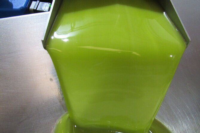 Oil tourism in Pulpí Discover the World of EVOO - Practical Details and Tips