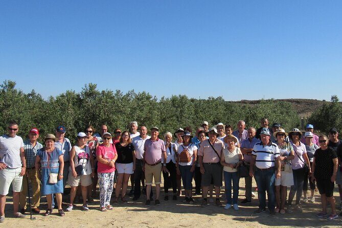 Oil tourism in Pulpí Discover the World of EVOO - FAQ
