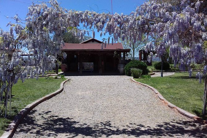 Ojos Negros Valley Wine and Cheese Route Tour in Baja California - Key Points