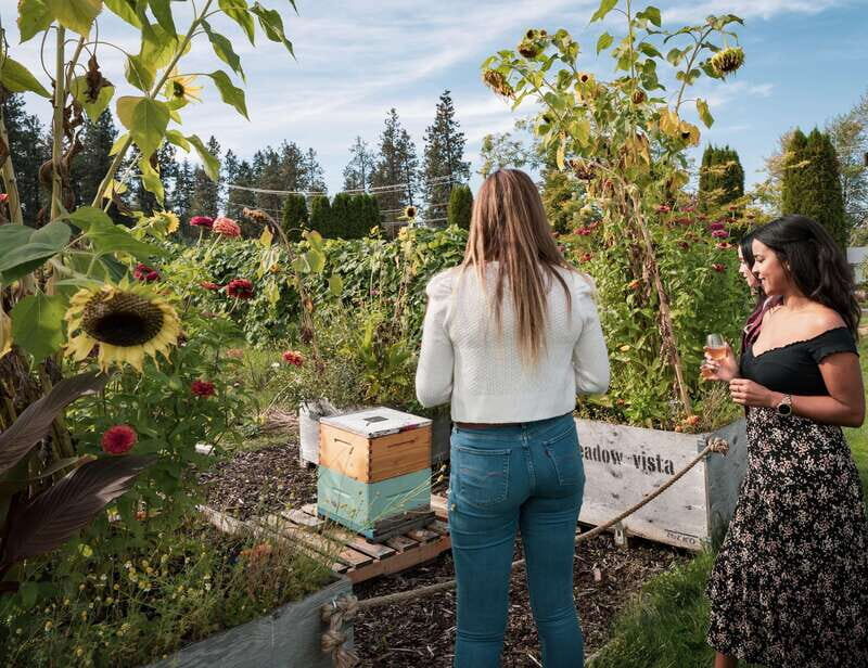 Okanagan Bee Tour, Wine Tasting and Lunch at Kelowna Winery - The Sum Up: Who Should Consider This Tour?