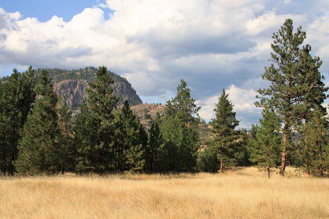 Okanagan Valley Discovery Tour - Authentic Experiences from Past Travelers