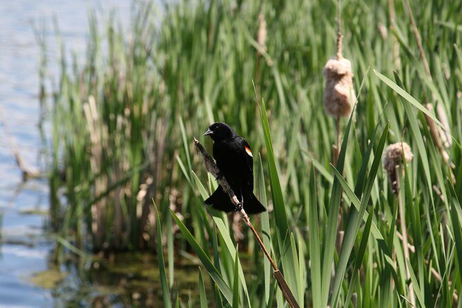 Okanagan Valley Discovery Tour - Final Thoughts