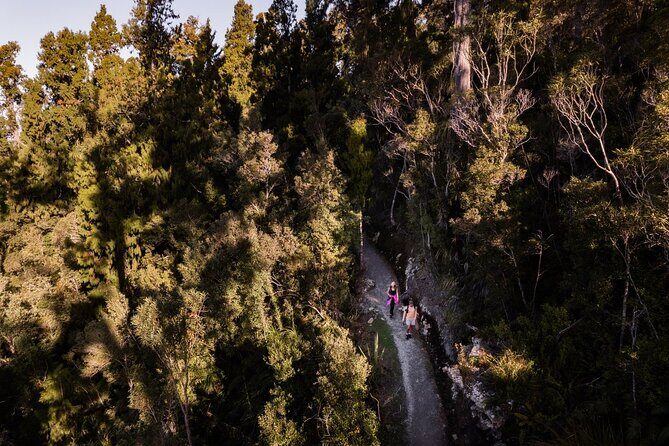 Okarito Nature Tour - Final Thoughts: Is This Tour Right for You?