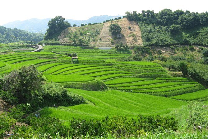 Okayama Full-Day Private Trip with Government-Licensed Guide - Final Thoughts