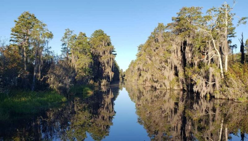 Okefenokee Swamp: Guided Boat Tour with a Local Naturalist - A Detailed Look at the Tour