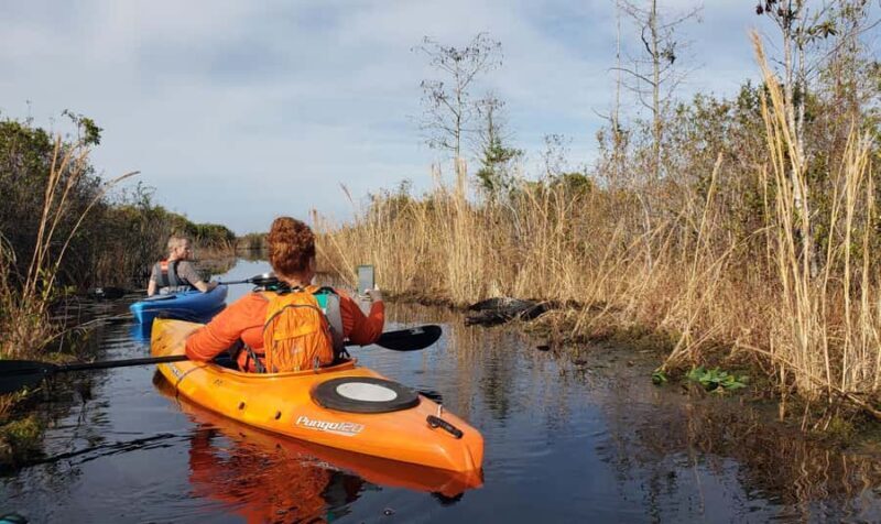 Okefenokee Swamp: Guided Kayak Tour with a Local Naturalist - Introduction