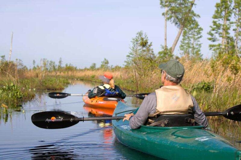 Okefenokee Swamp: Guided Kayak Tour with a Local Naturalist - Key Points