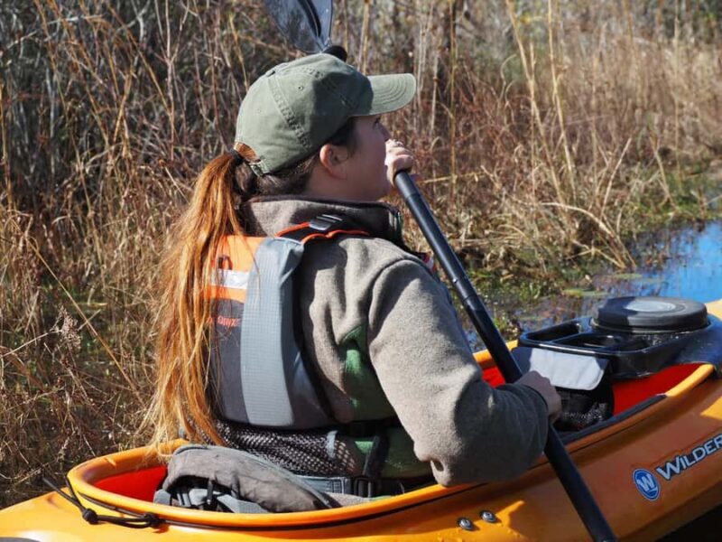 Okefenokee Swamp: Guided Kayak Tour with a Local Naturalist - Detailed Breakdown of the Experience