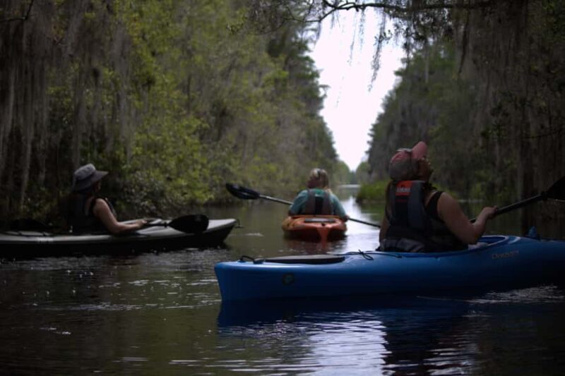 Okefenokee Swamp: Guided Kayak Tour with a Local Naturalist - FAQ