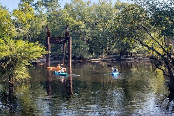 Okefenokee Swamp: Guided Kayak Tour with a Local Naturalist - What Reviewers Have Said