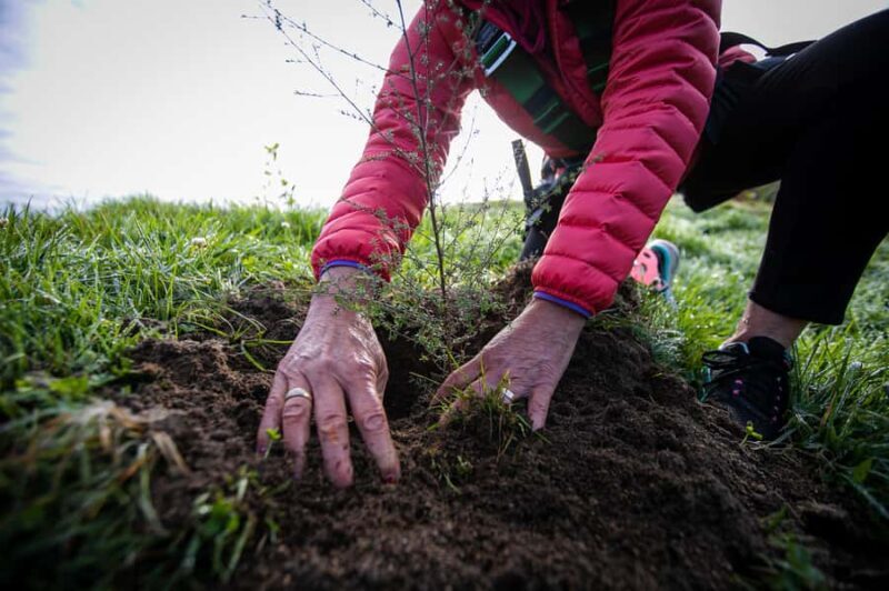 Okere Falls: Zipline over Waterfalls Experience - An In-Depth Look at the Okere Falls Zipline Adventure