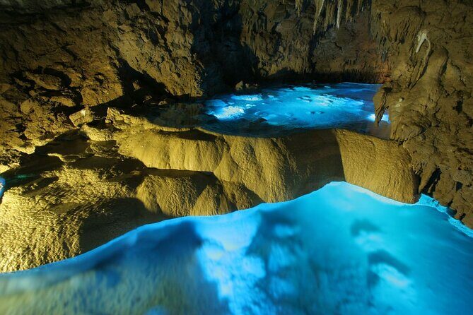 Okinawa Day Tour to the Top Sightseeing Spots - In The Sum Up