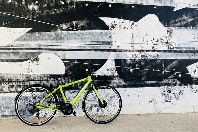 Okinawa E-bike Rental (Sporty Type) - Navigating the Details: Price, Practicalities, and How to Maximize Your Ride