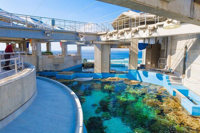 Okinawa Hip-hop Bus B Course Tour (Okinawa Churaumi Aquarium) - Frequently Asked Questions