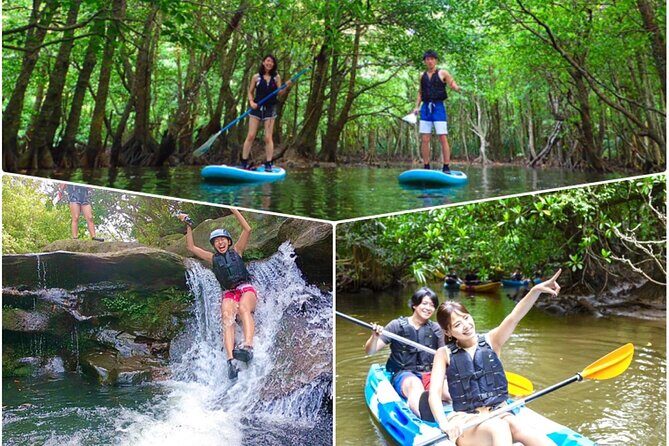 Okinawa Iriomote Mangrove SUP or Canoe Tour and Splash Canyoning - Discover the Best of Iriomote’s Nature with the Mangrove SUP and Splash Canyoning Tour