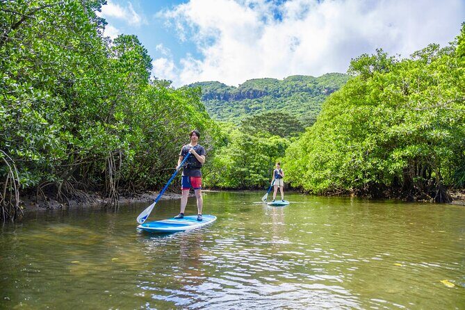 Okinawa Iriomote Mangrove SUP or Canoe Tour - Final Thoughts on the Tour